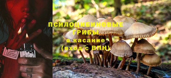 а пвп мука Армянск