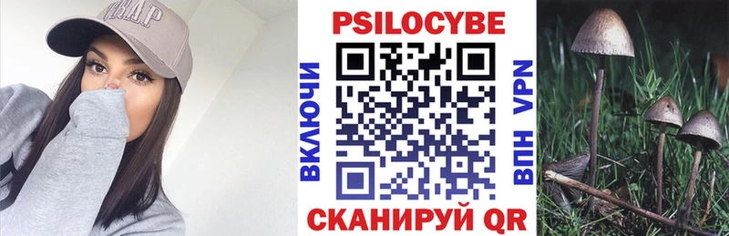 сколько стоит  Уржум  Галлюциногенные грибы Cubensis 